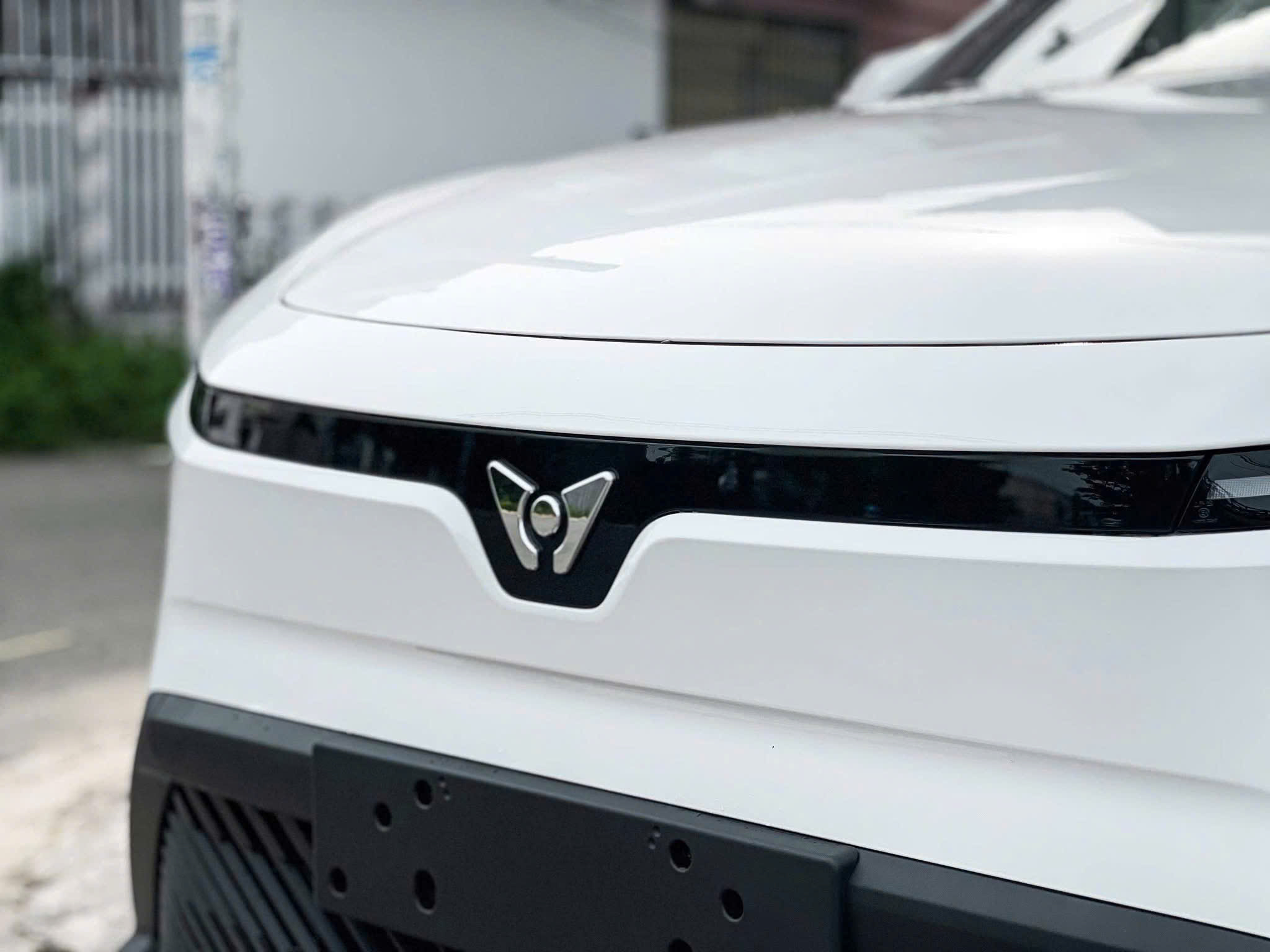 Limo Green màu trắng logo nhận diện thương hiệu mới