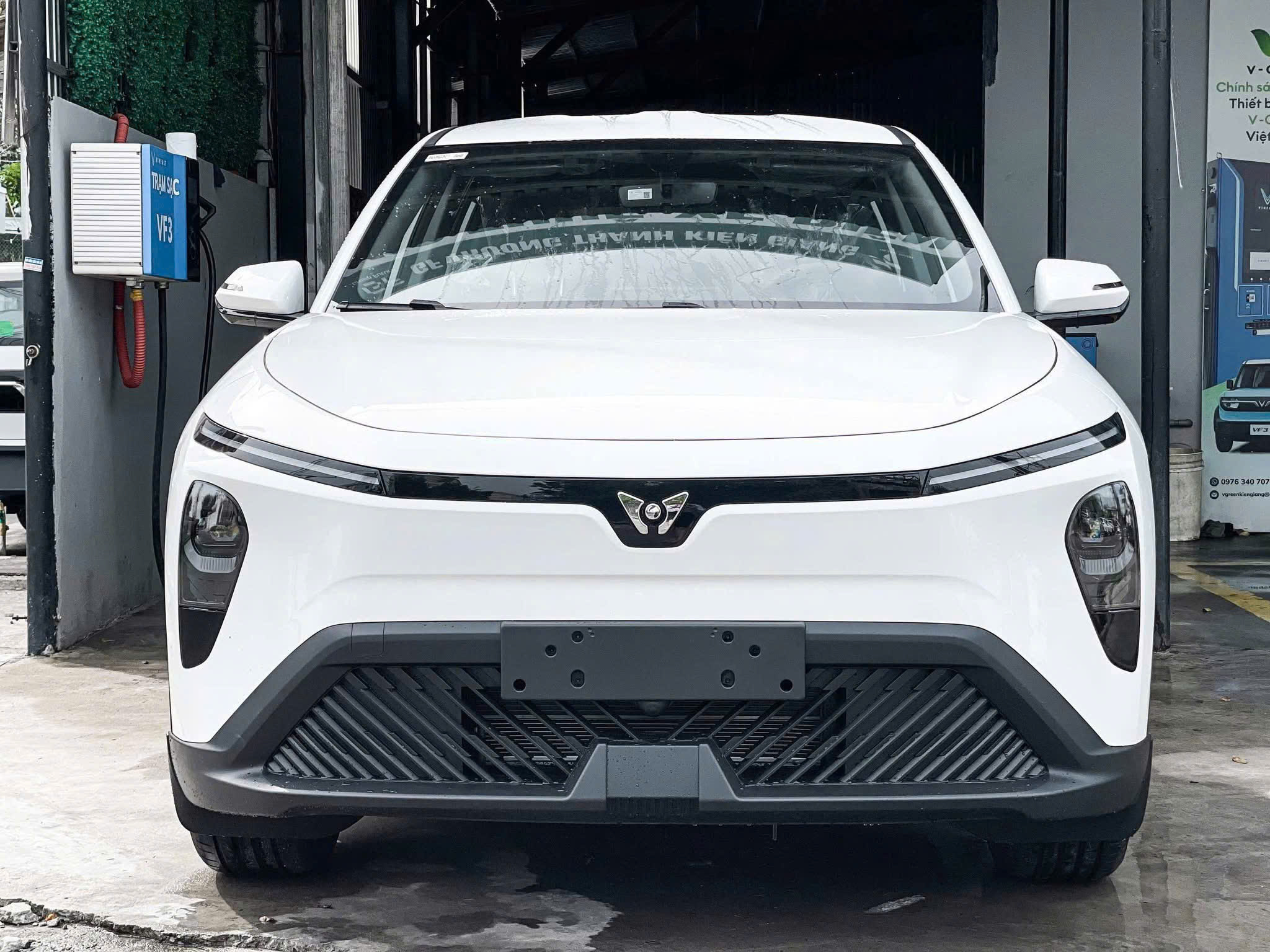 Limo Green màu trắng logo nhận diện thương hiệu mới