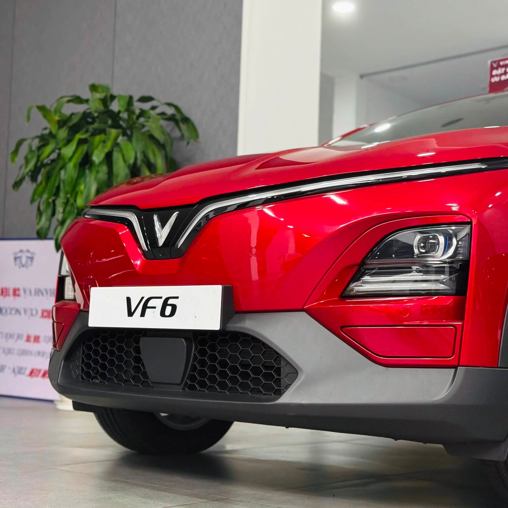 VF6 Eco